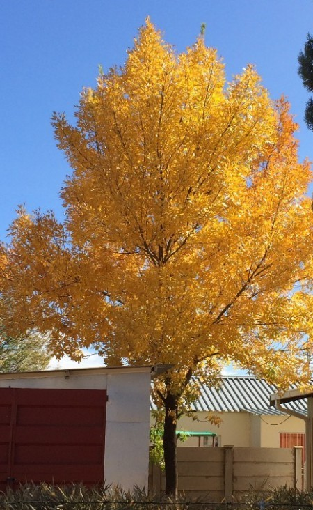 Lessons From Everyday Life – Be Grateful