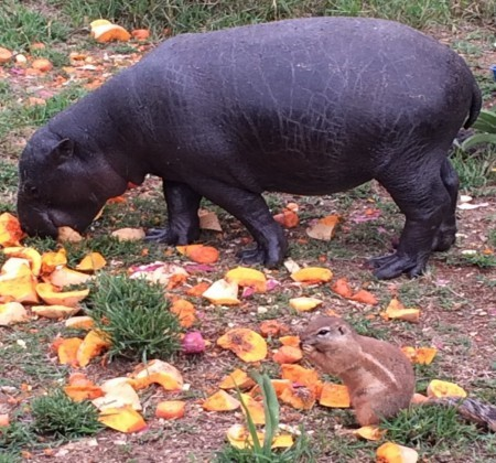 Lessons From Everyday Life – Tolerance vs. Prejudice